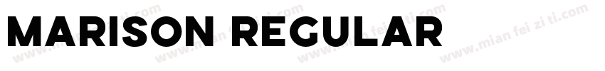 MARISON REGULAR字体转换